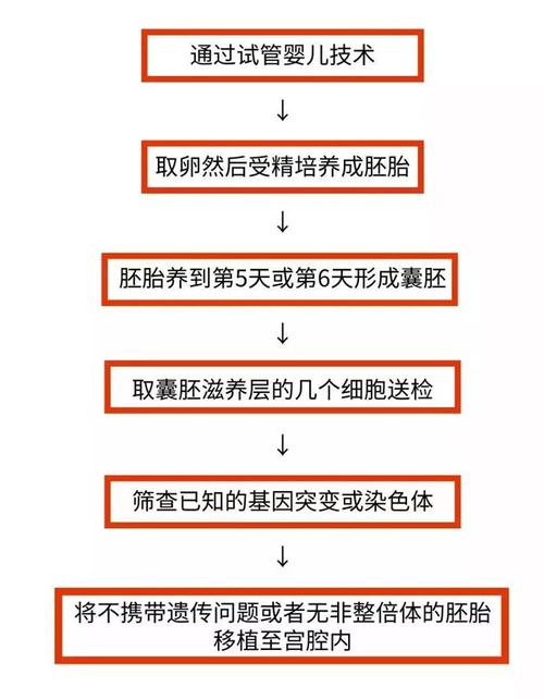 试管代怀合法流程_试管代怀合法流程解析及注意事项