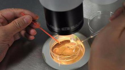 试管代怀基因(试管代怀基因：科技助力生育的新选择)