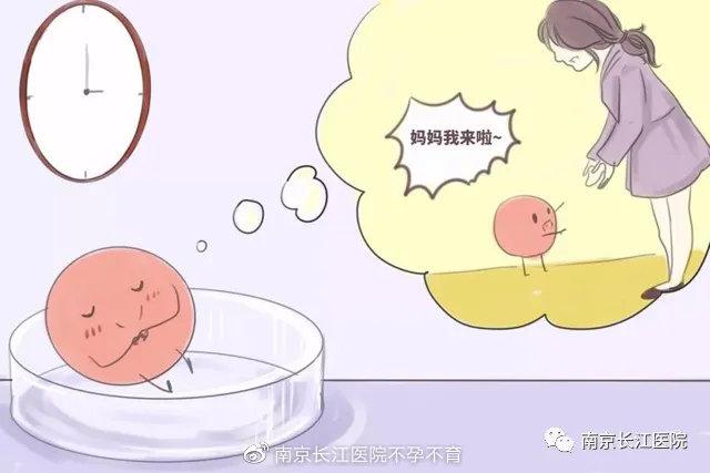 试管代怀对孩子的影响(试管代怀:对孩子的影响)