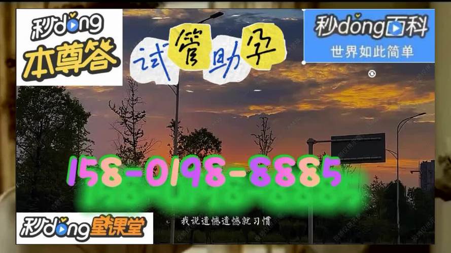 试管代怀服务平台-试管代怀服务平台:助您圆梦成家