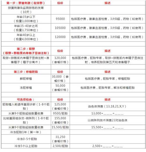 试管代怀的费用【试管代怀费用一览- 所需资金及相关费用详解】