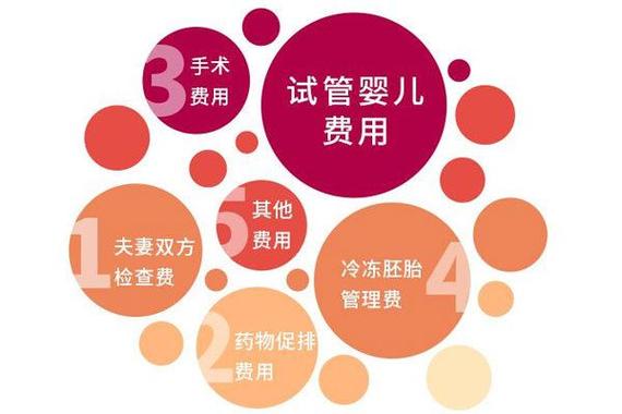 试管代怀Q-试管代怀Q:科技助力实现梦想