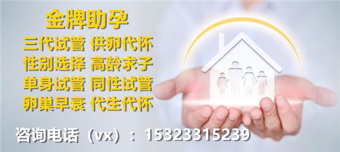 试管供卵试管代怀男孩过程(试管供卵代怀男孩：全程指导与关怀)