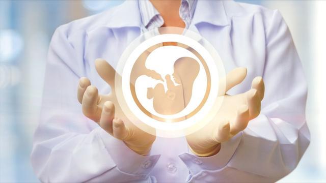 试管代怀包生男孩成功率有多少【试管代怀包生男孩成功率调查】