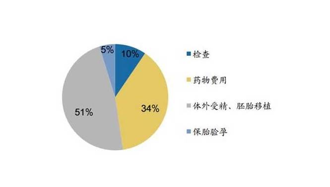 试管代怀多胞胎费用【试管代怀多胞胎费用解析】