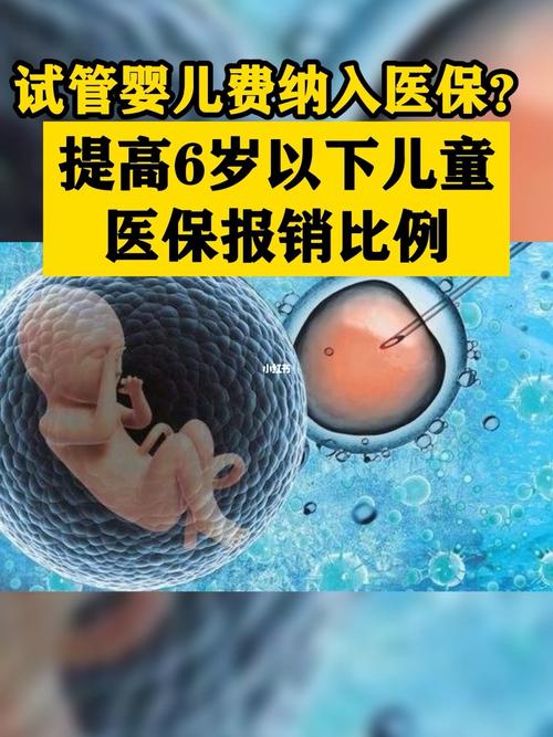 试管代怀费-试管代怀费:新生命的成本与伦理束缚